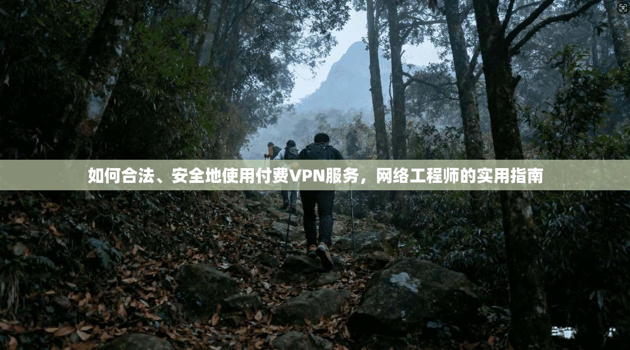 如何合法、安全地使用付费VPN服务，网络工程师的实用指南