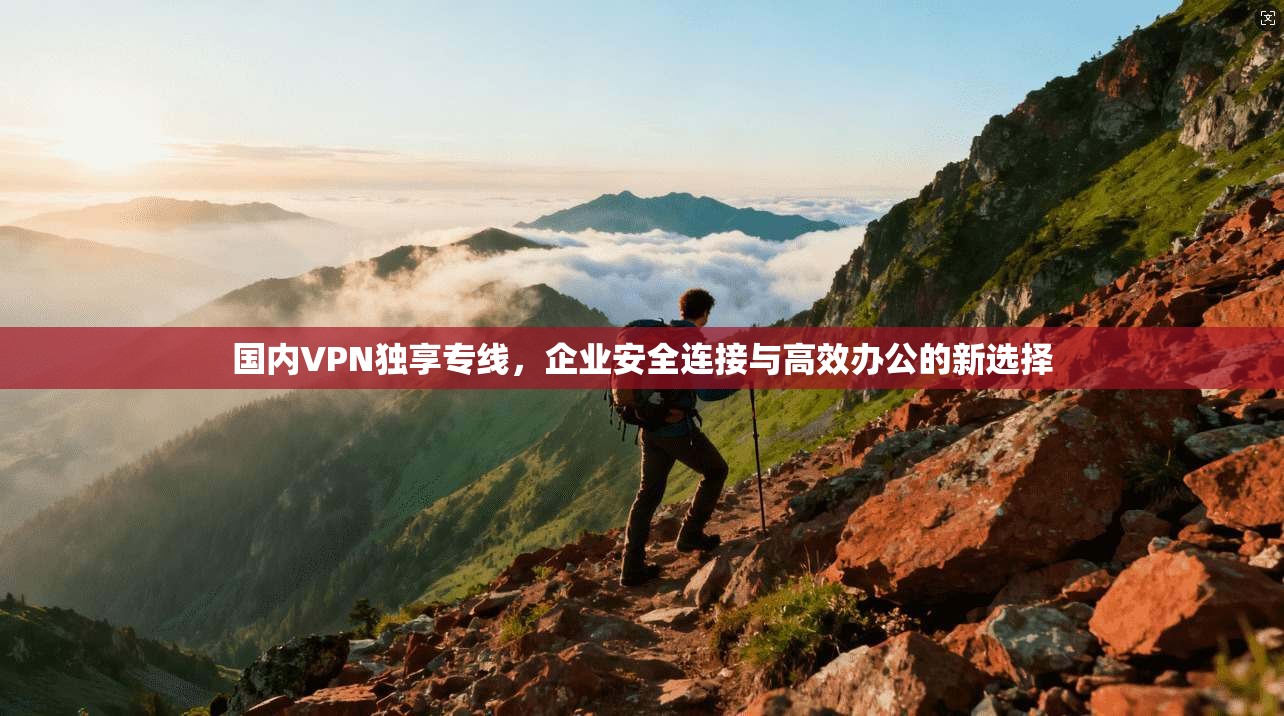 国内VPN独享专线，企业安全连接与高效办公的新选择