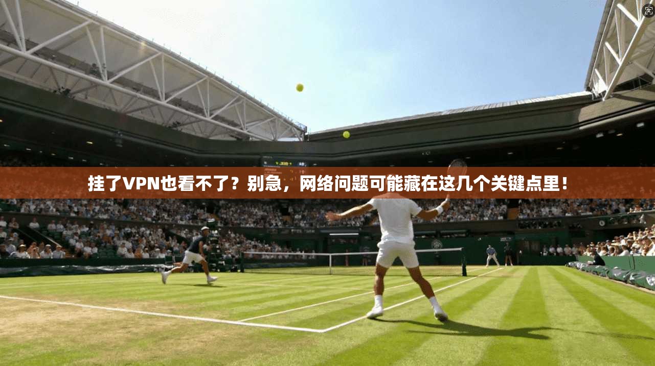挂了VPN也看不了？别急，网络问题可能藏在这几个关键点里！