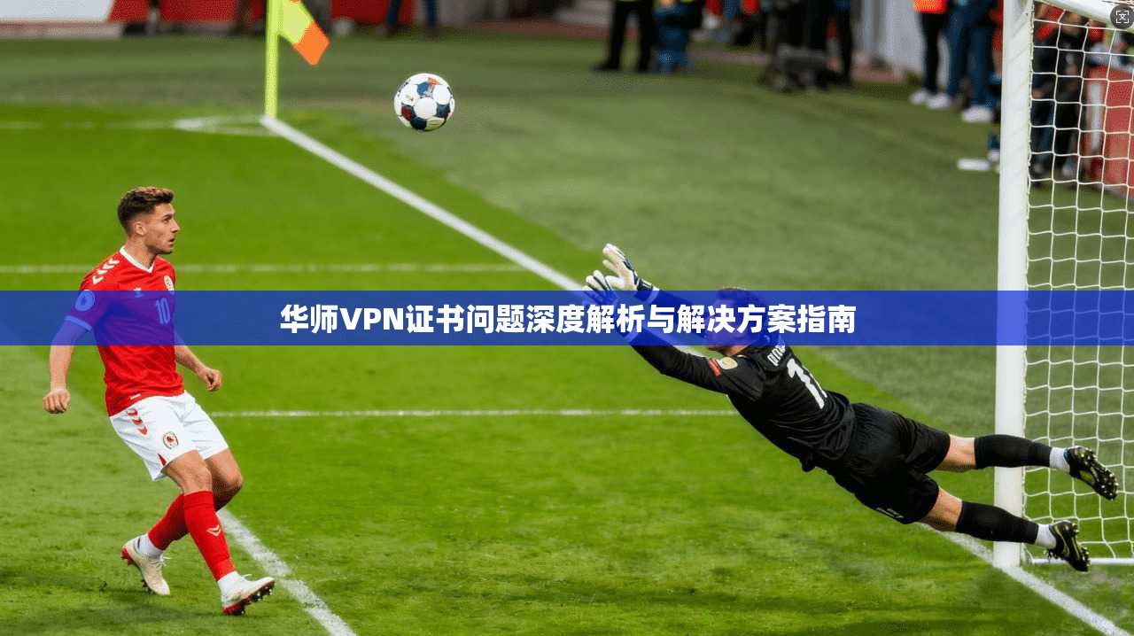 华师VPN证书问题深度解析与解决方案指南