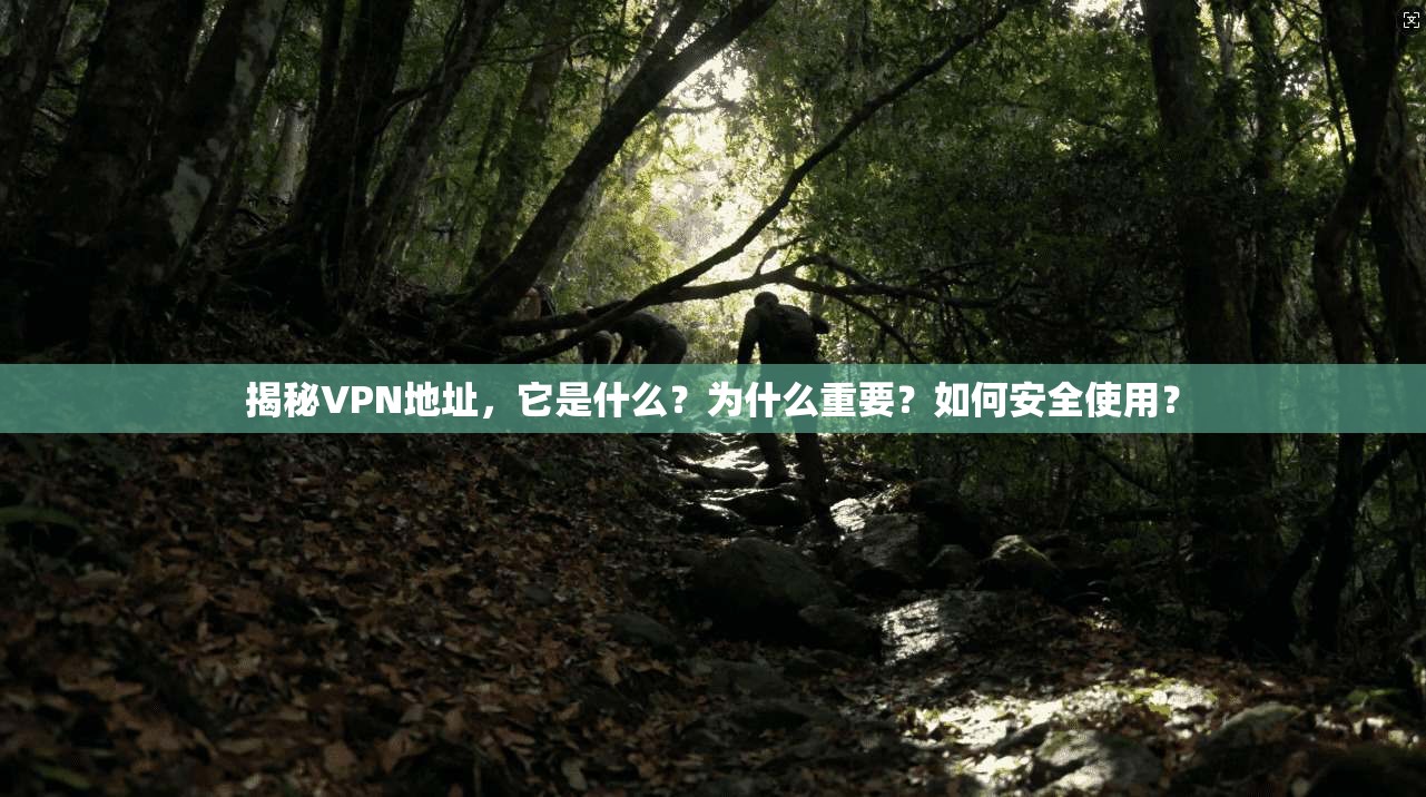 揭秘VPN地址，它是什么？为什么重要？如何安全使用？