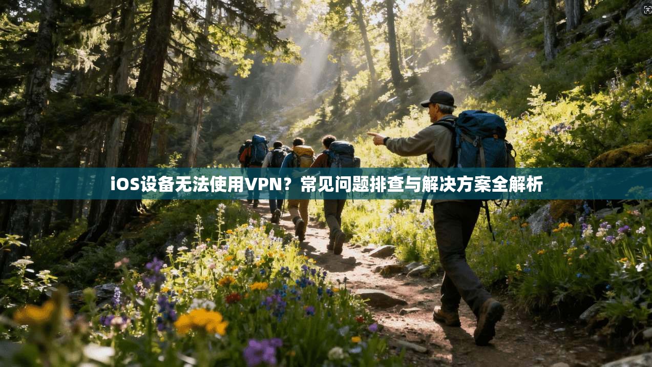 iOS设备无法使用VPN？常见问题排查与解决方案全解析