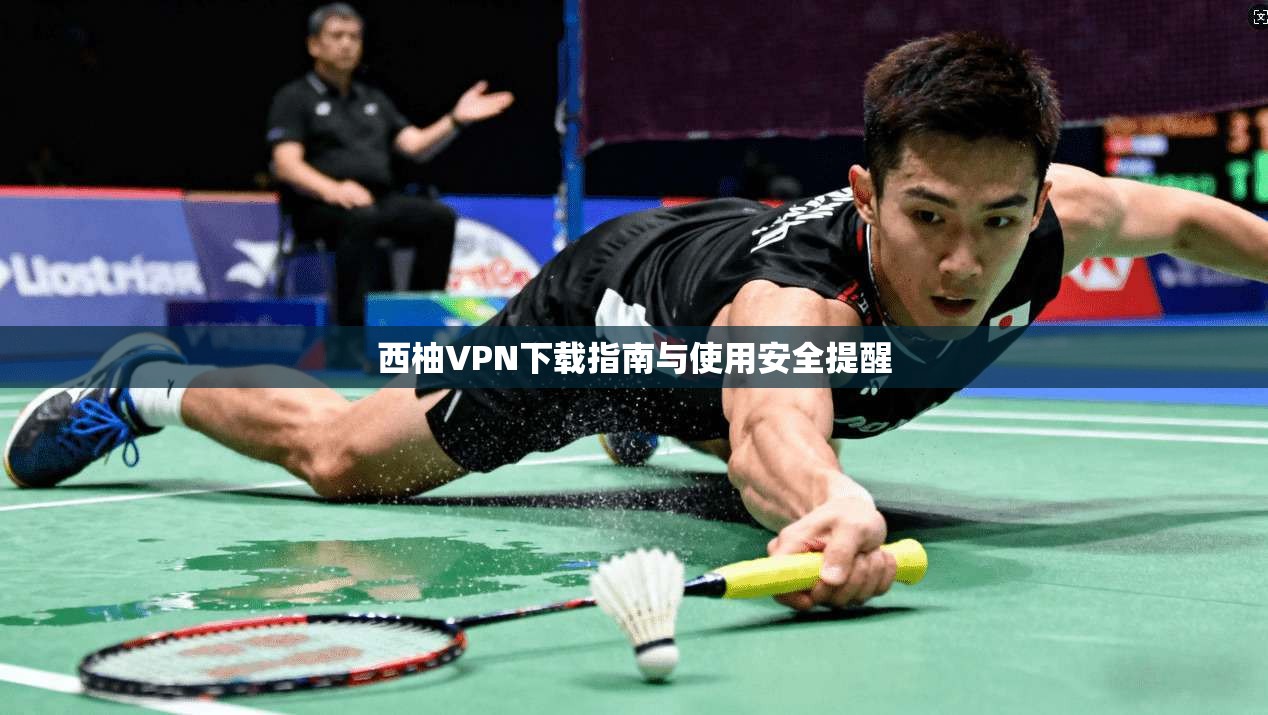 西柚VPN下载指南与使用安全提醒