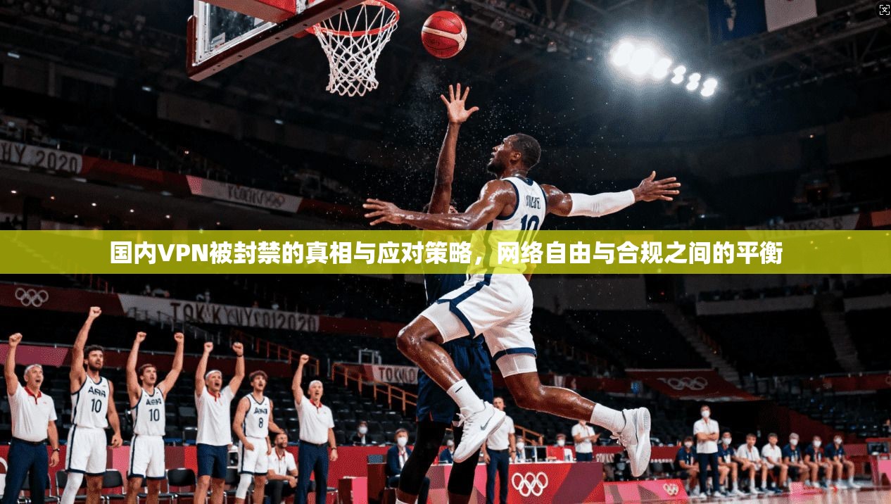 国内VPN被封禁的真相与应对策略，网络自由与合规之间的平衡