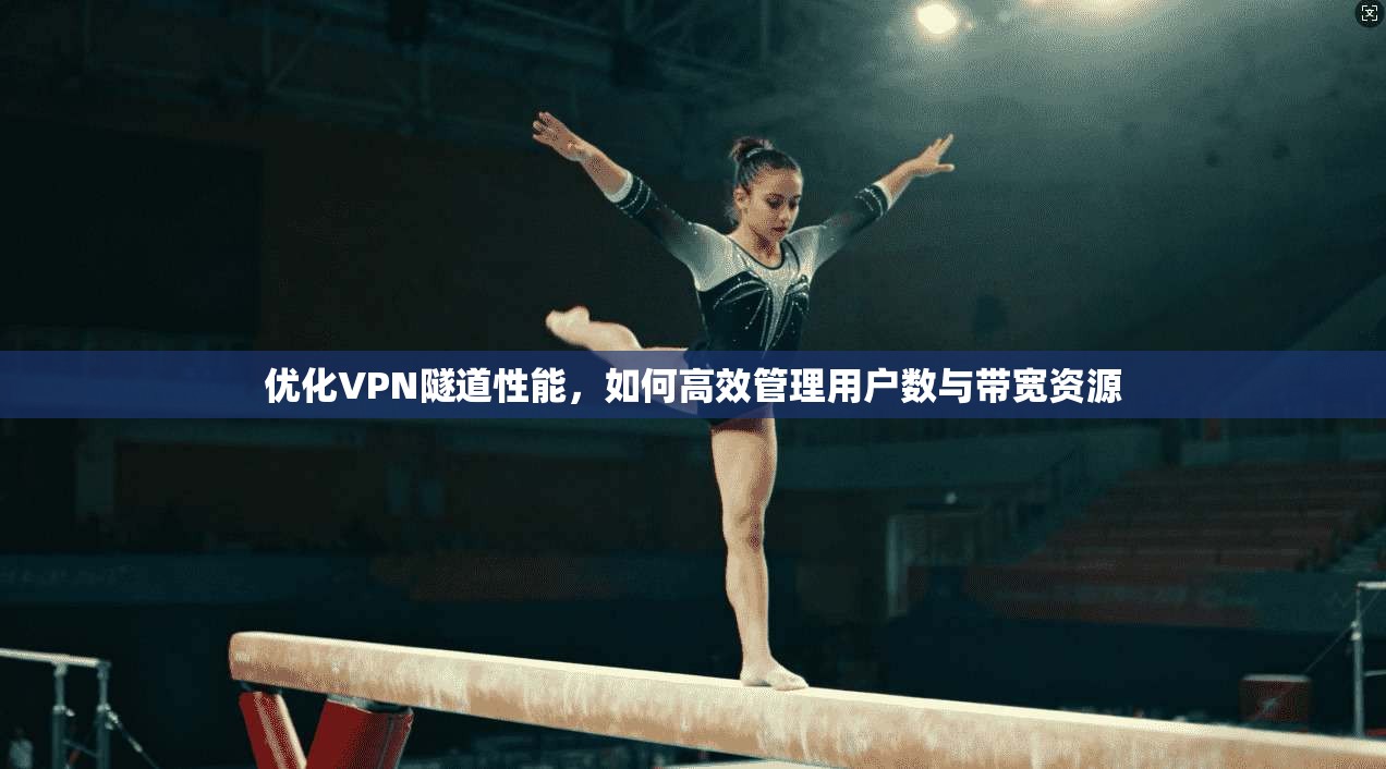 优化VPN隧道性能，如何高效管理用户数与带宽资源