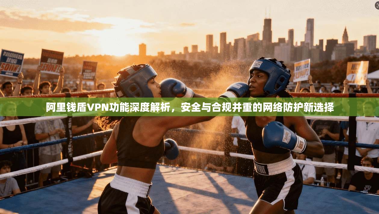 阿里钱盾VPN功能深度解析，安全与合规并重的网络防护新选择