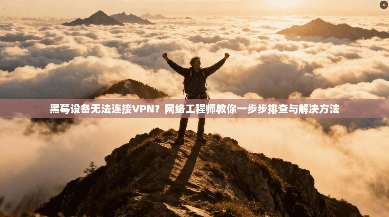黑莓设备无法连接VPN？网络工程师教你一步步排查与解决方法