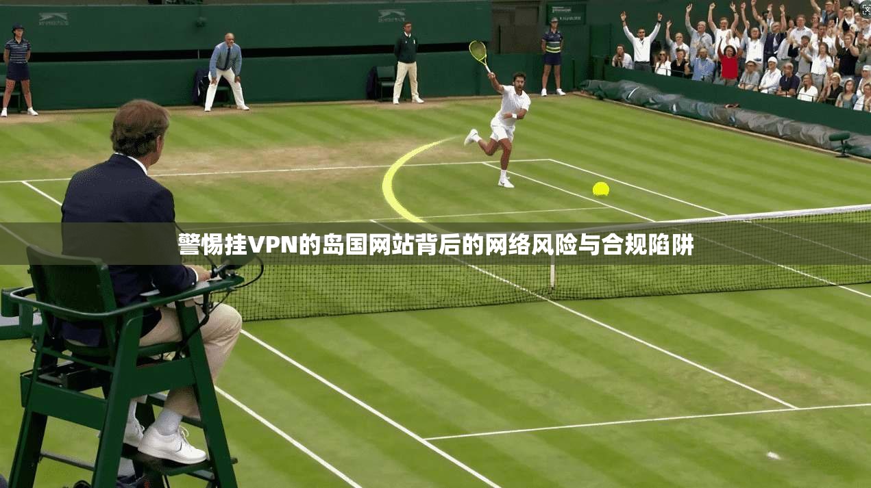警惕挂VPN的岛国网站背后的网络风险与合规陷阱