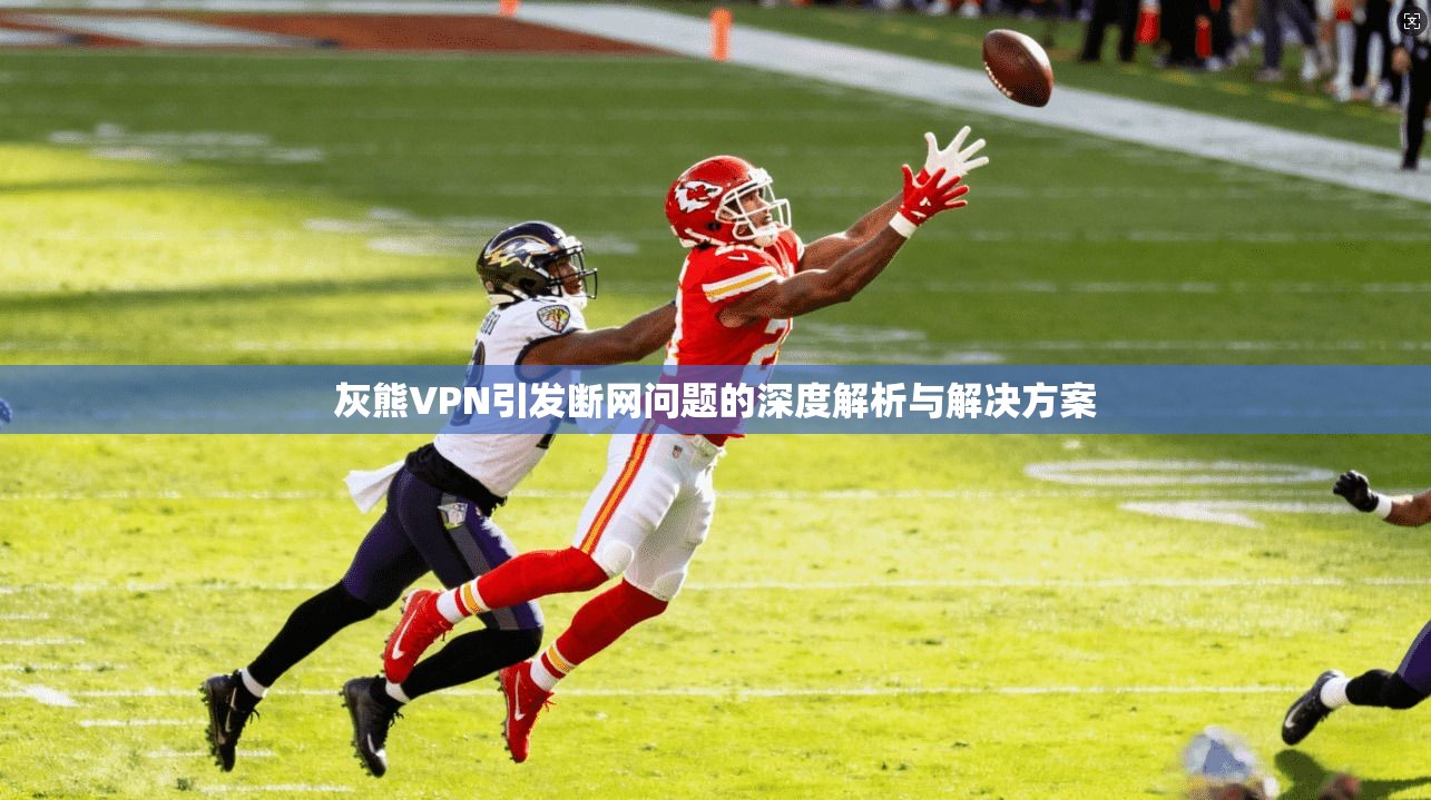 灰熊VPN引发断网问题的深度解析与解决方案