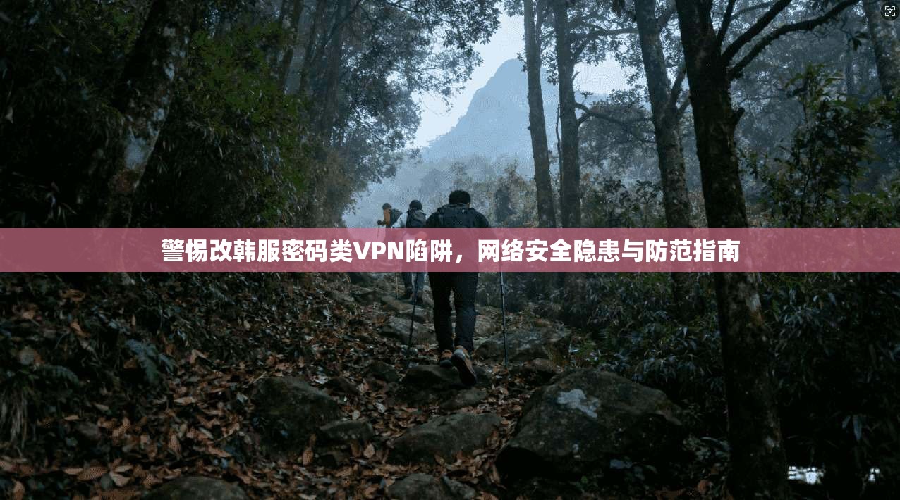 警惕改韩服密码类VPN陷阱，网络安全隐患与防范指南