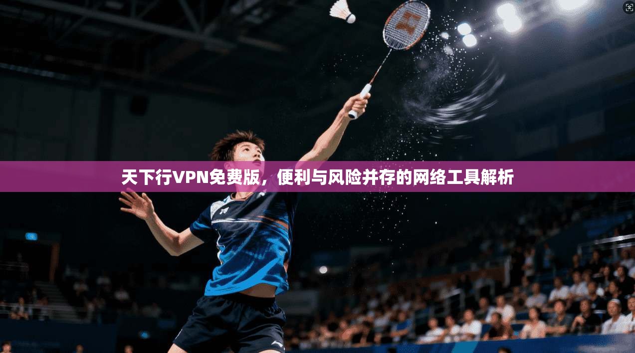天下行VPN免费版，便利与风险并存的网络工具解析