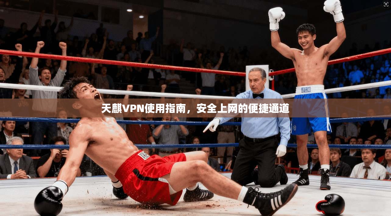 天麒VPN使用指南，安全上网的便捷通道