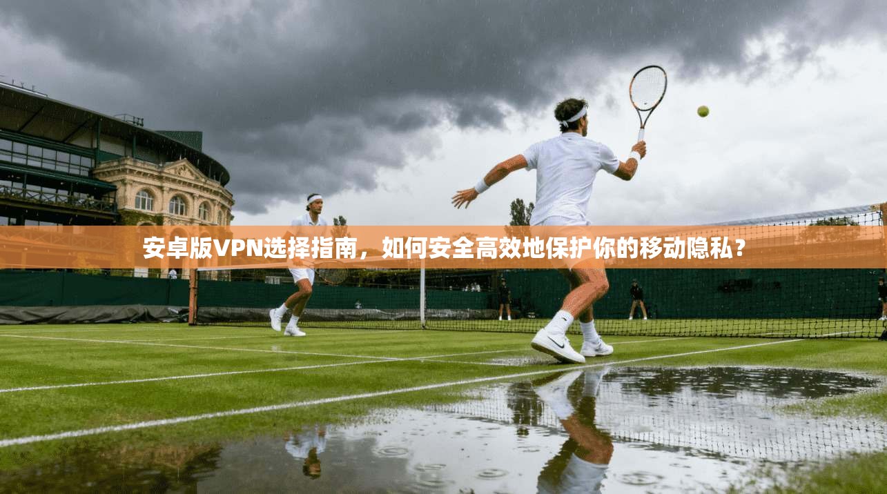 安卓版VPN选择指南，如何安全高效地保护你的移动隐私？