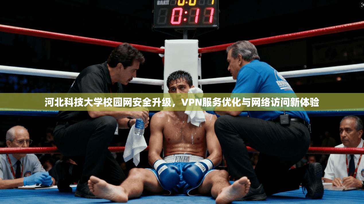 河北科技大学校园网安全升级，VPN服务优化与网络访问新体验