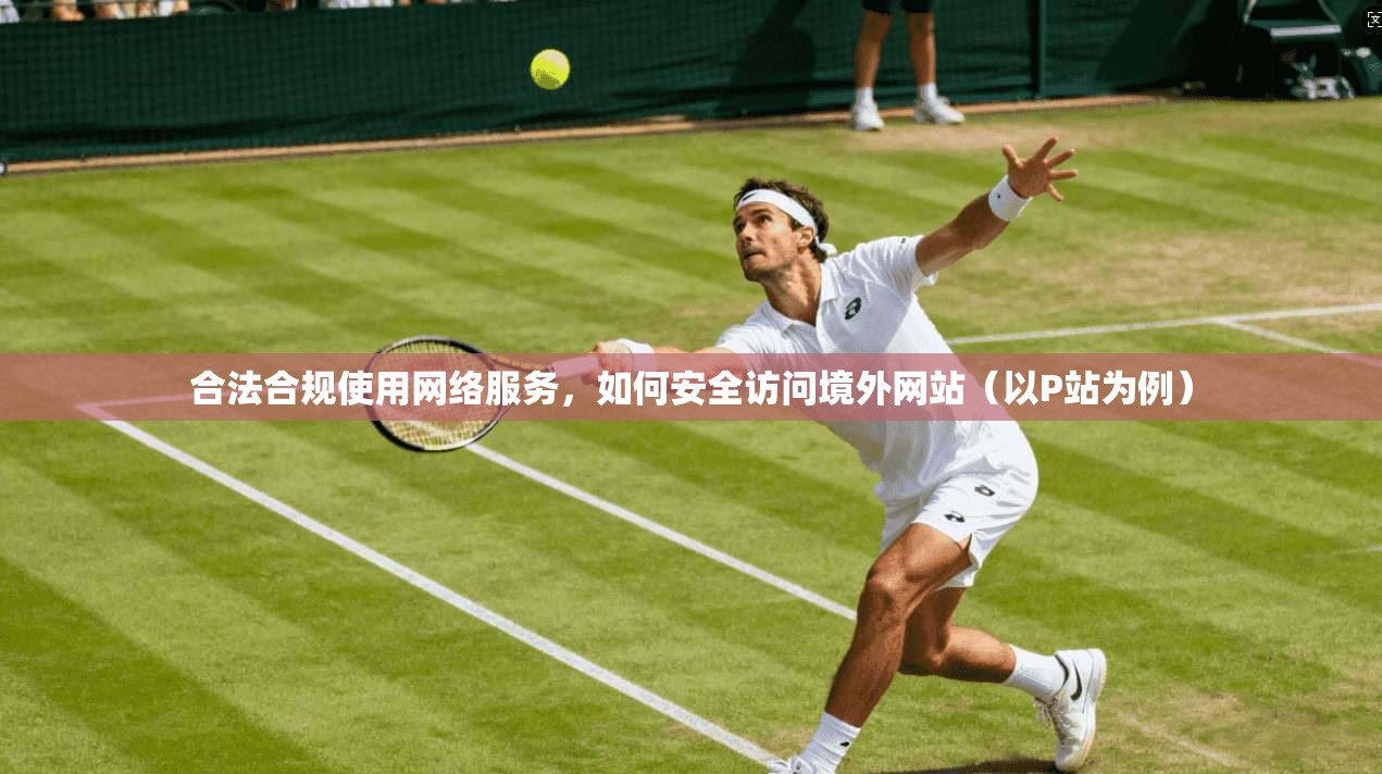 合法合规使用网络服务，如何安全访问境外网站（以P站为例）