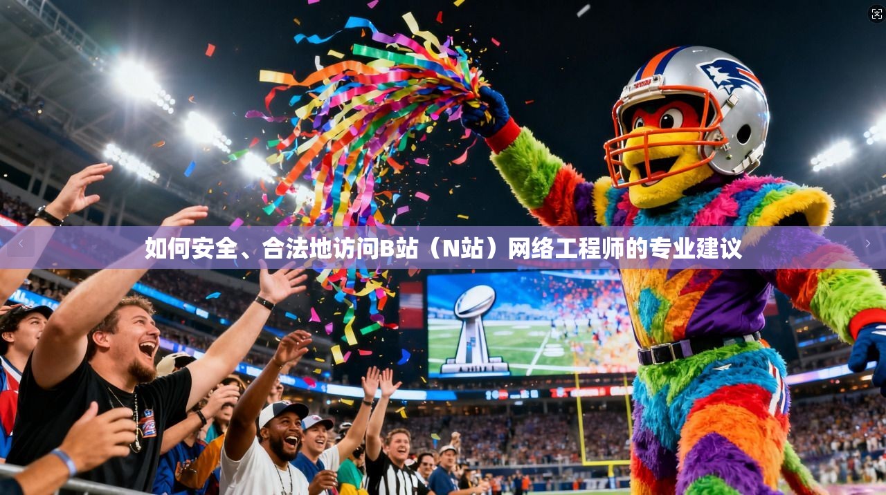 如何安全、合法地访问B站（N站）网络工程师的专业建议