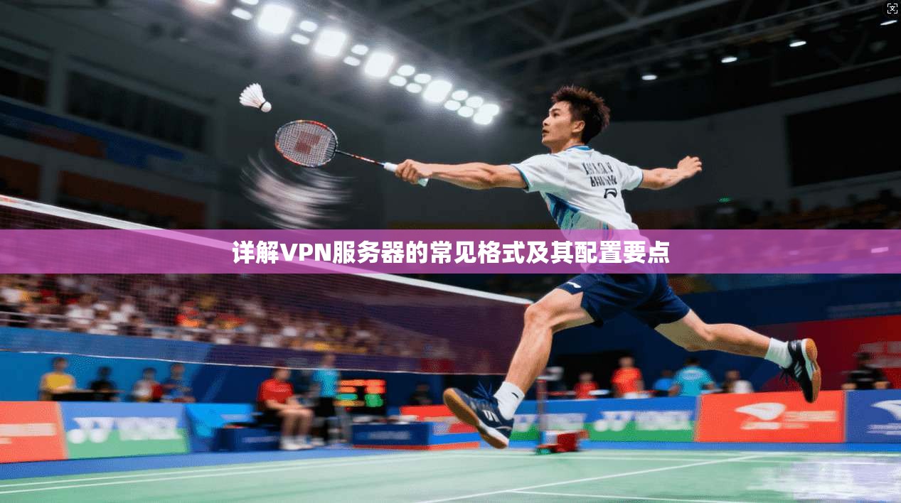 详解VPN服务器的常见格式及其配置要点