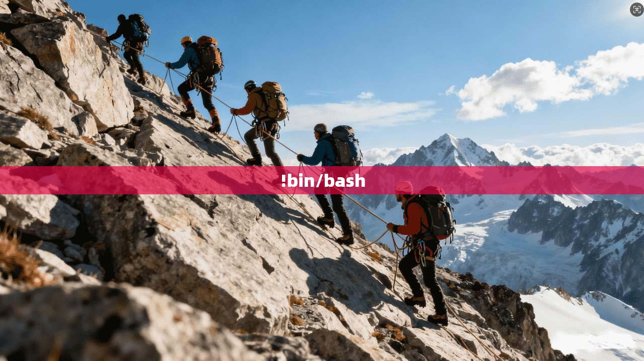 !bin/bash