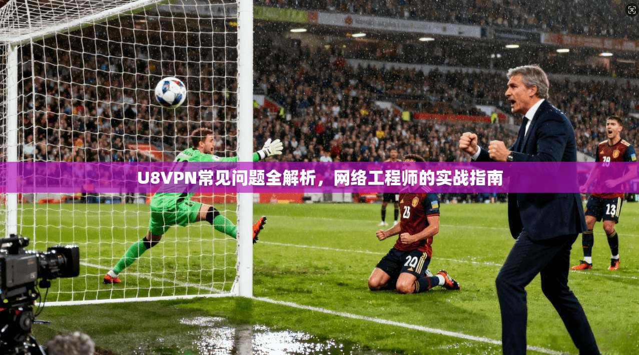 U8VPN常见问题全解析，网络工程师的实战指南