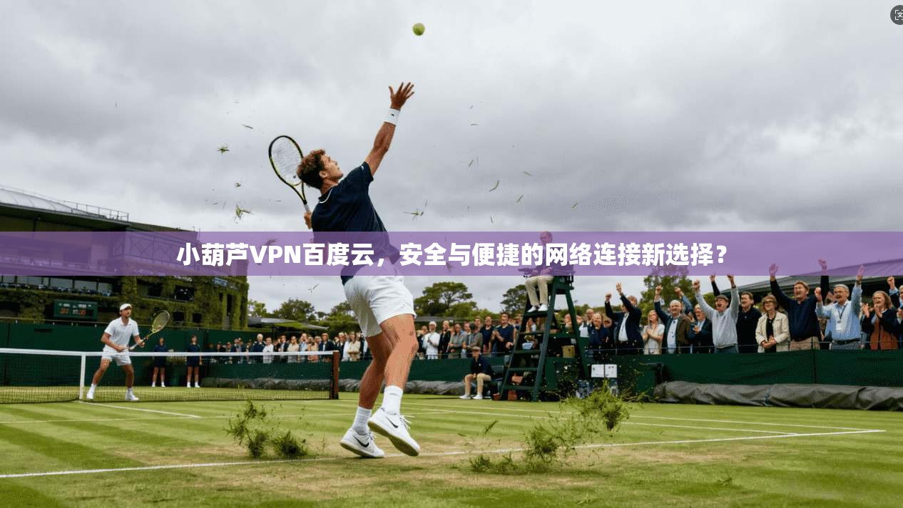 小葫芦VPN百度云，安全与便捷的网络连接新选择？