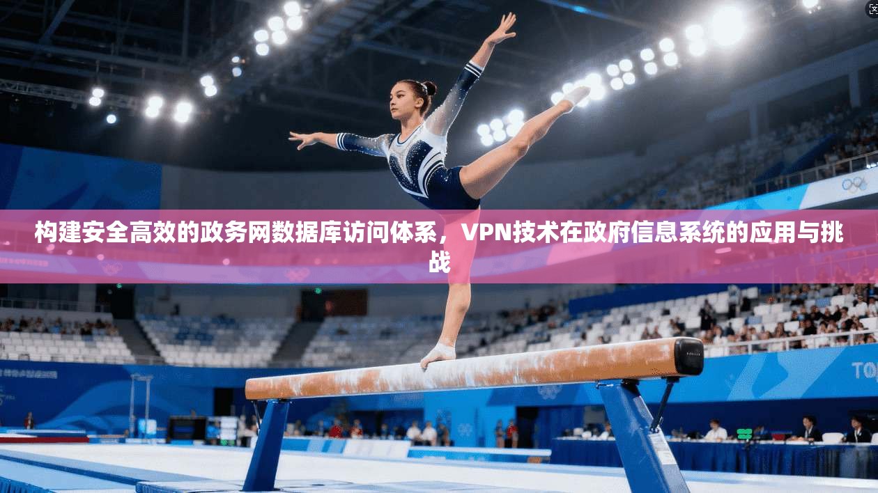 构建安全高效的政务网数据库访问体系，VPN技术在政府信息系统的应用与挑战