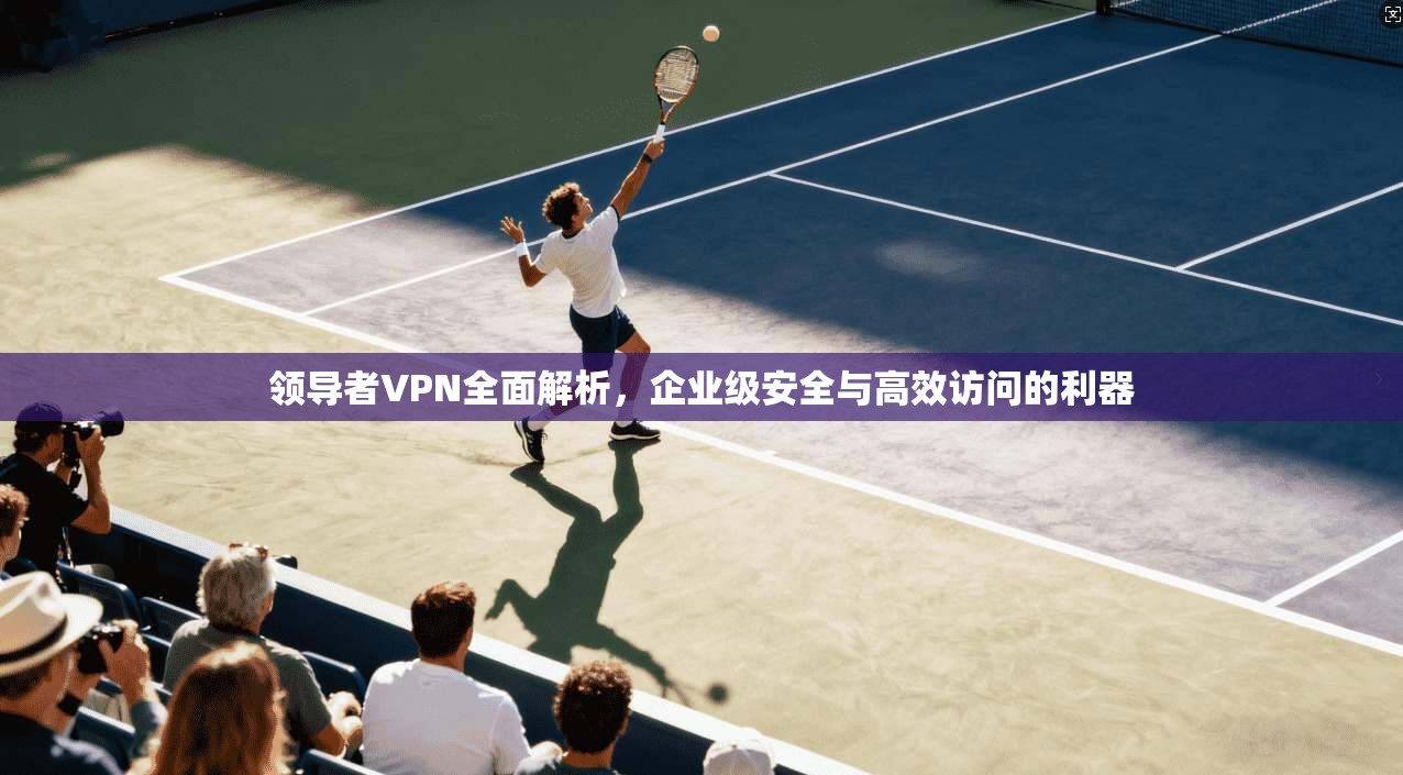 领导者VPN全面解析，企业级安全与高效访问的利器