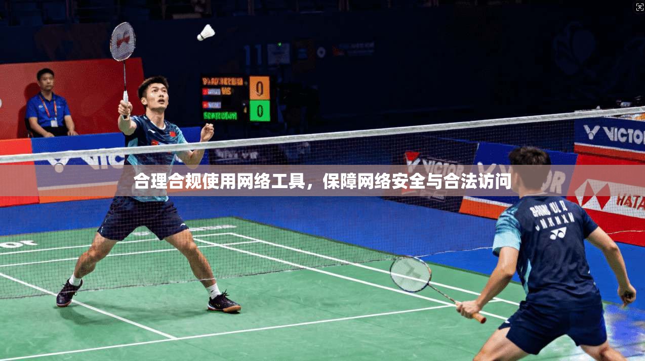 合理合规使用网络工具，保障网络安全与合法访问