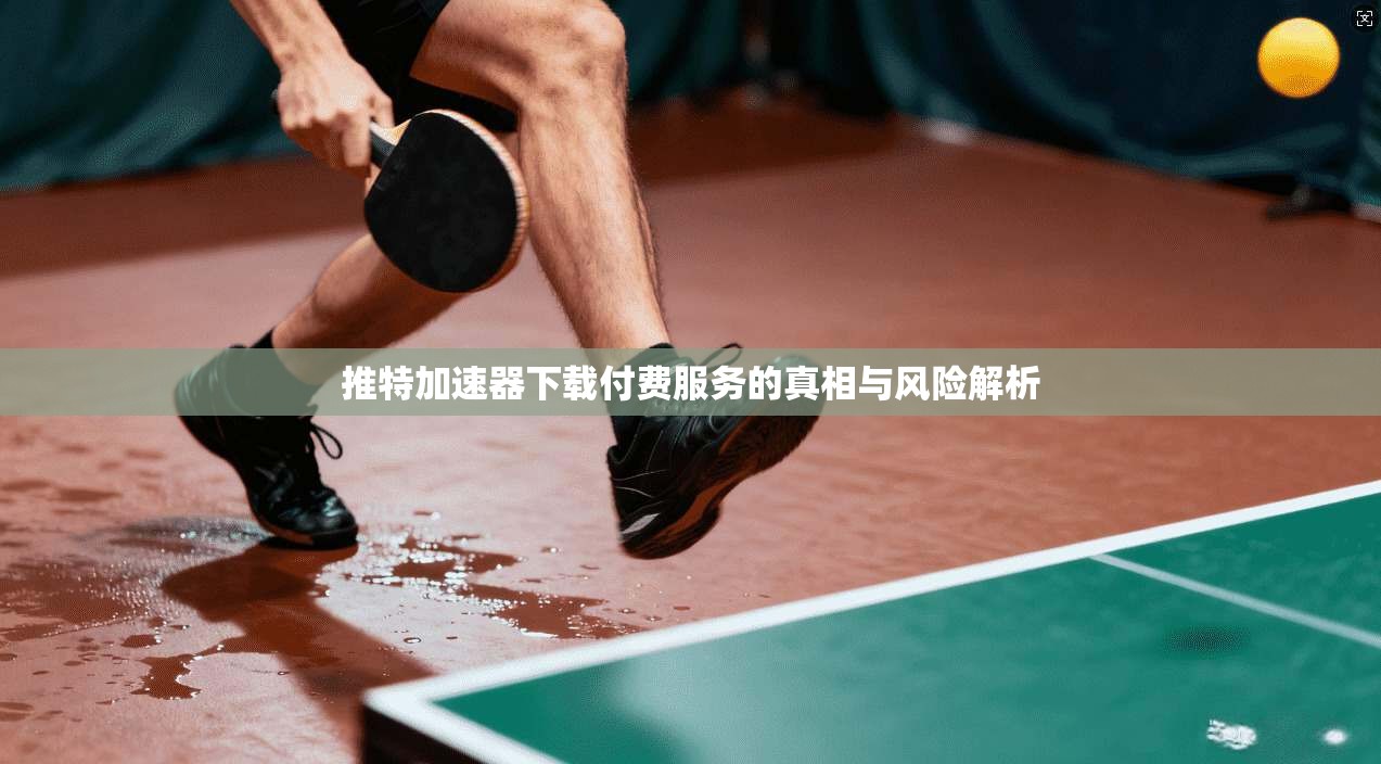 推特加速器下载付费服务的真相与风险解析