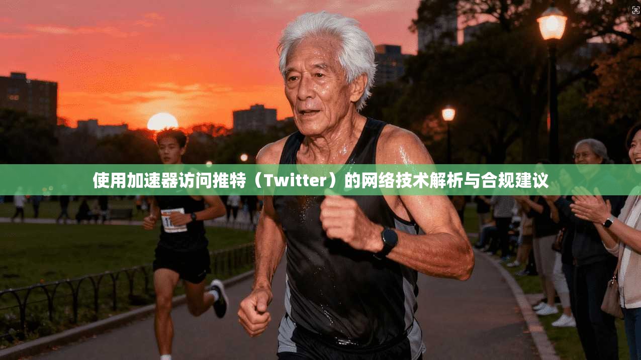 使用加速器访问推特（Twitter）的网络技术解析与合规建议