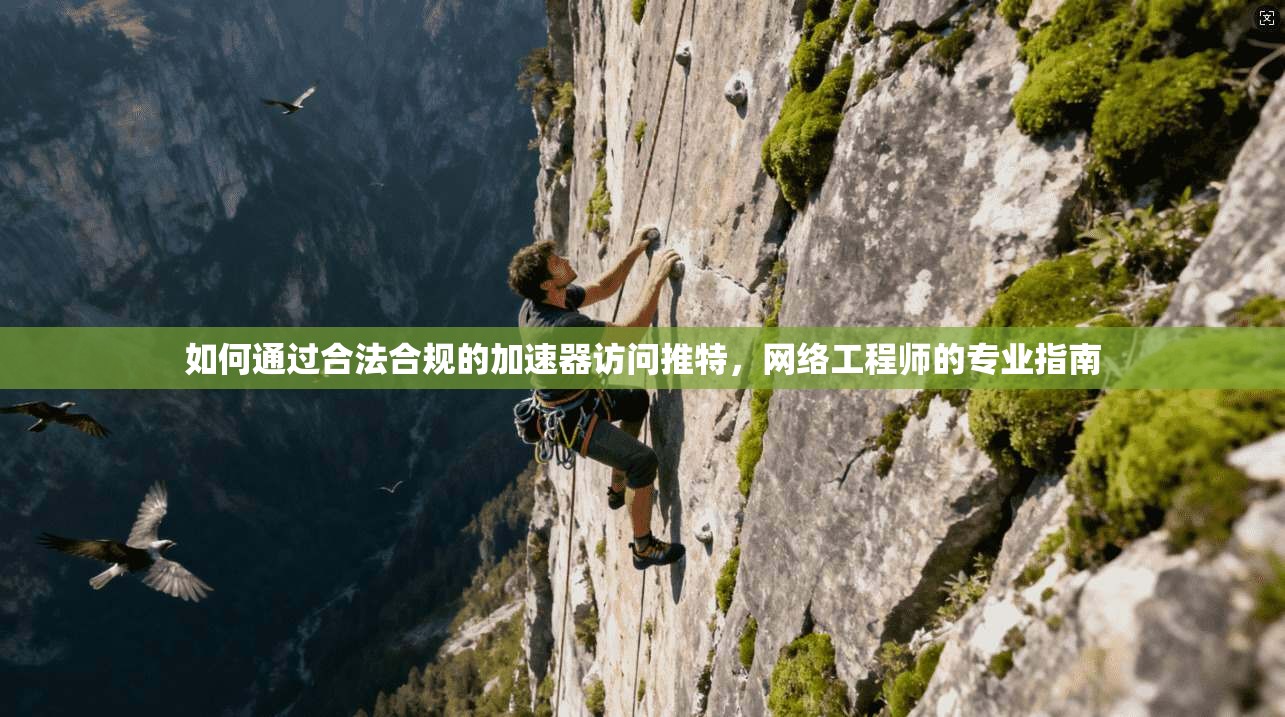 如何通过合法合规的加速器访问推特，网络工程师的专业指南