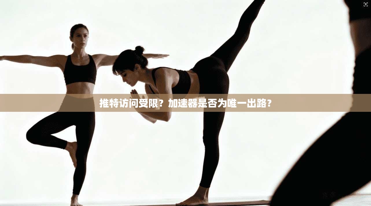 推特访问受限？加速器是否为唯一出路？