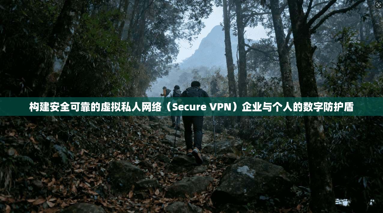 构建安全可靠的虚拟私人网络（Secure VPN）企业与个人的数字防护盾