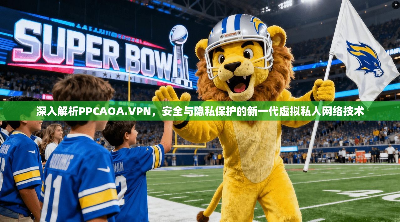 深入解析PPCAOA.VPN，安全与隐私保护的新一代虚拟私人网络技术