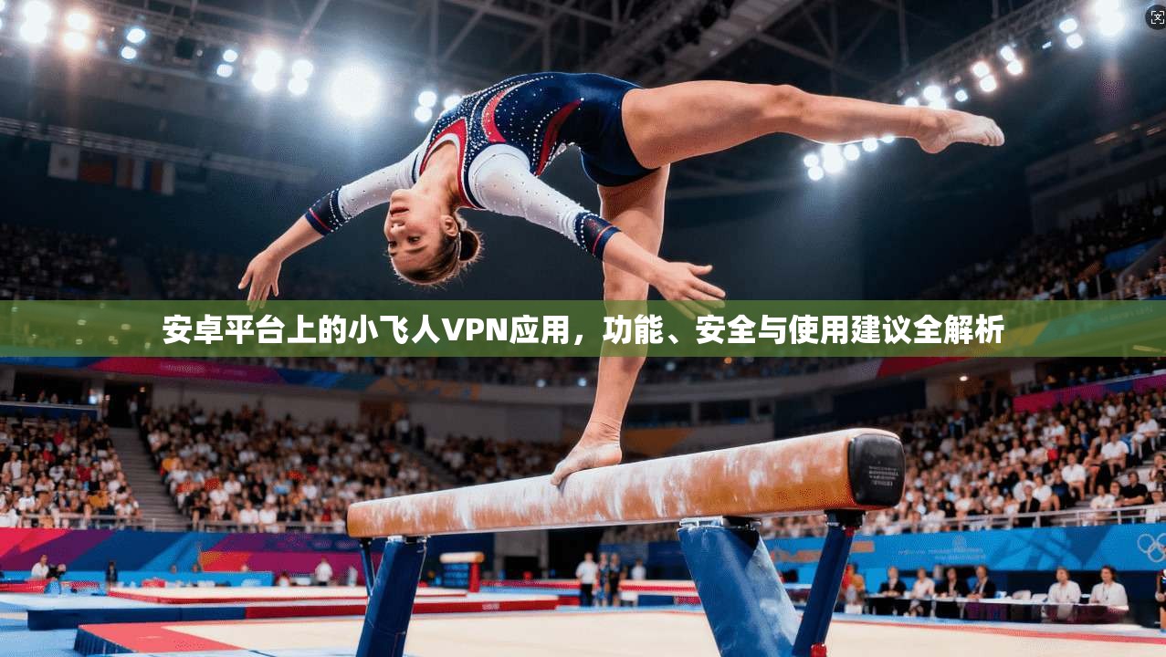 安卓平台上的小飞人VPN应用，功能、安全与使用建议全解析