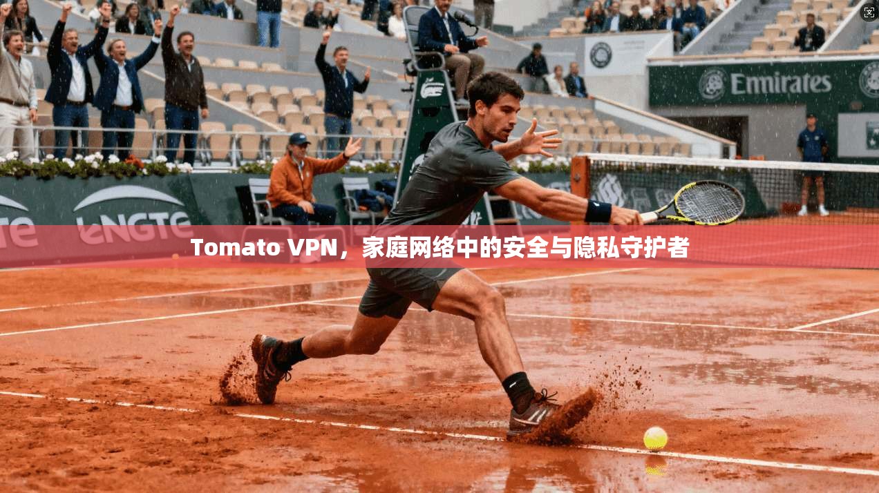 Tomato VPN，家庭网络中的安全与隐私守护者