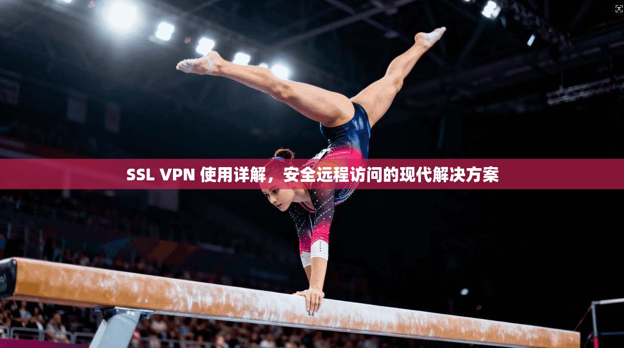 SSL VPN 使用详解，安全远程访问的现代解决方案