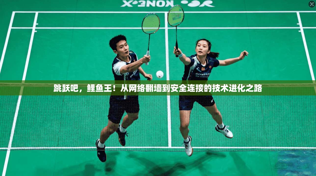 跳跃吧，鲤鱼王！从网络翻墙到安全连接的技术进化之路