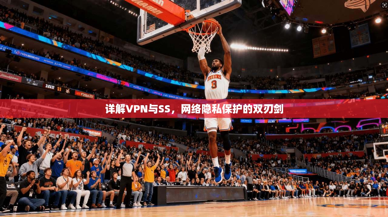 详解VPN与SS，网络隐私保护的双刃剑