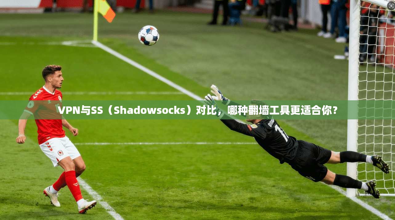 VPN与SS（Shadowsocks）对比，哪种翻墙工具更适合你？