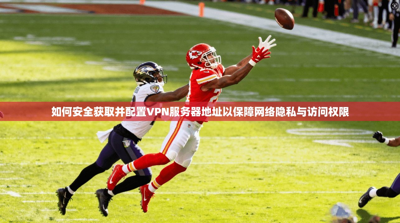 如何安全获取并配置VPN服务器地址以保障网络隐私与访问权限