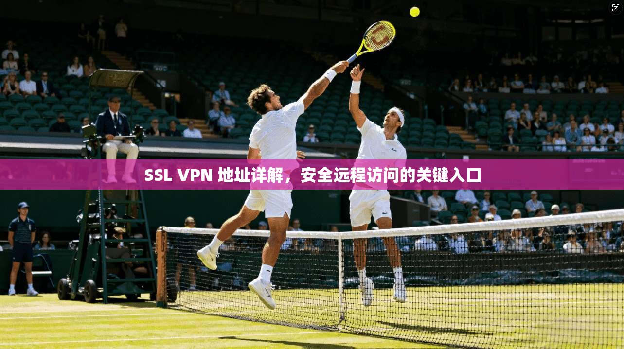 SSL VPN 地址详解，安全远程访问的关键入口