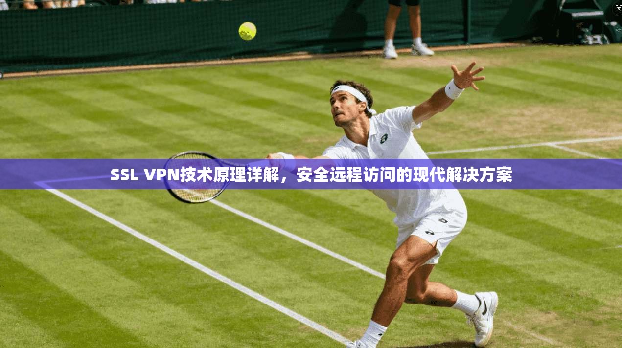 SSL VPN技术原理详解，安全远程访问的现代解决方案