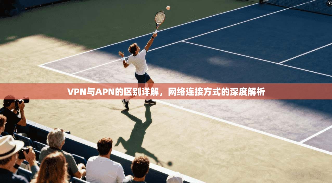 VPN与APN的区别详解，网络连接方式的深度解析