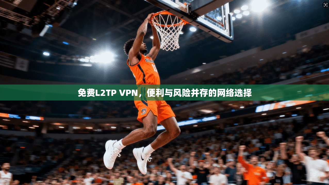 免费L2TP VPN，便利与风险并存的网络选择