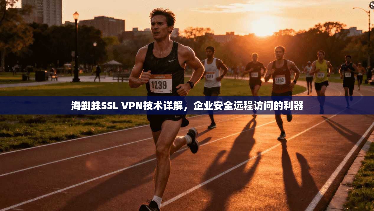 海蜘蛛SSL VPN技术详解，企业安全远程访问的利器