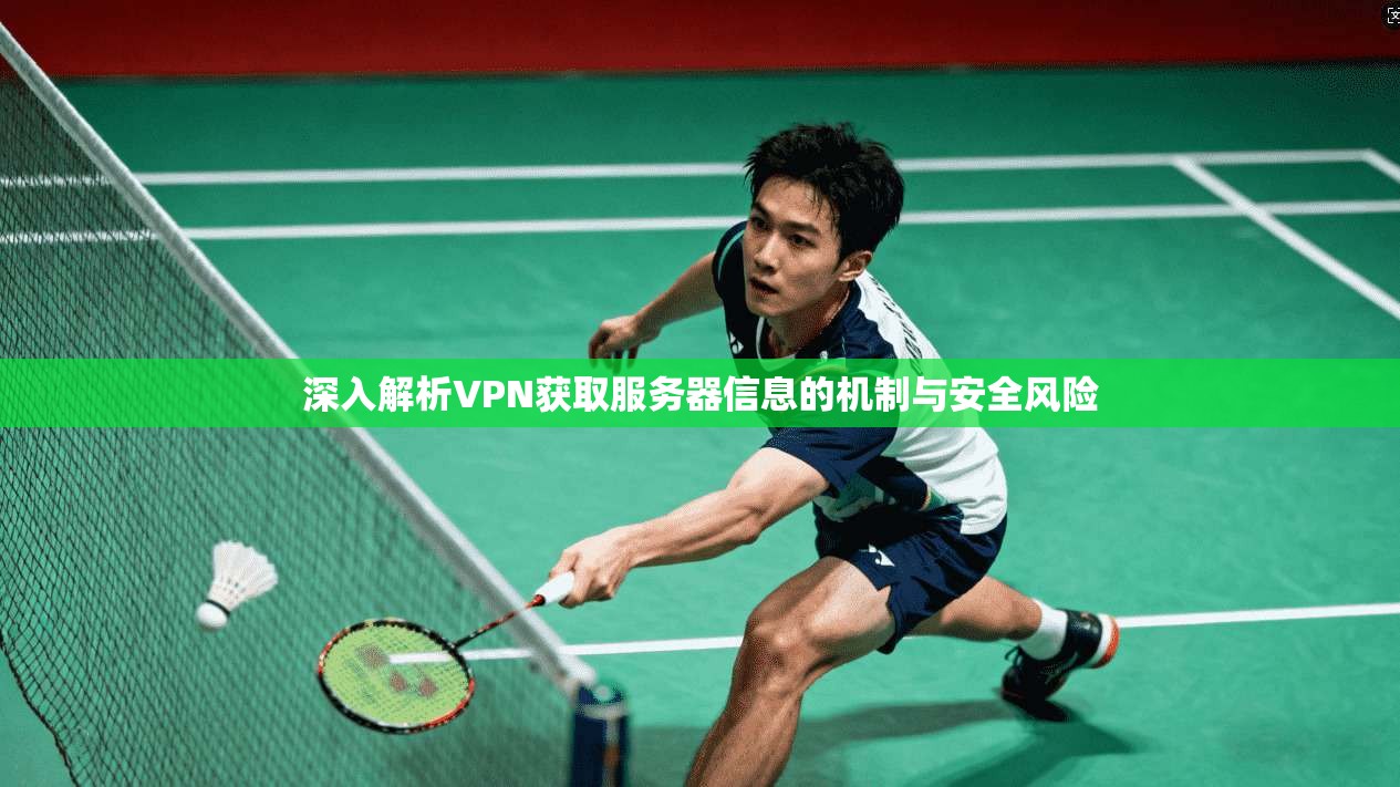 深入解析VPN获取服务器信息的机制与安全风险