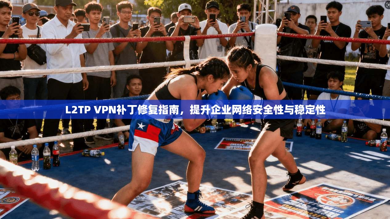 L2TP VPN补丁修复指南，提升企业网络安全性与稳定性