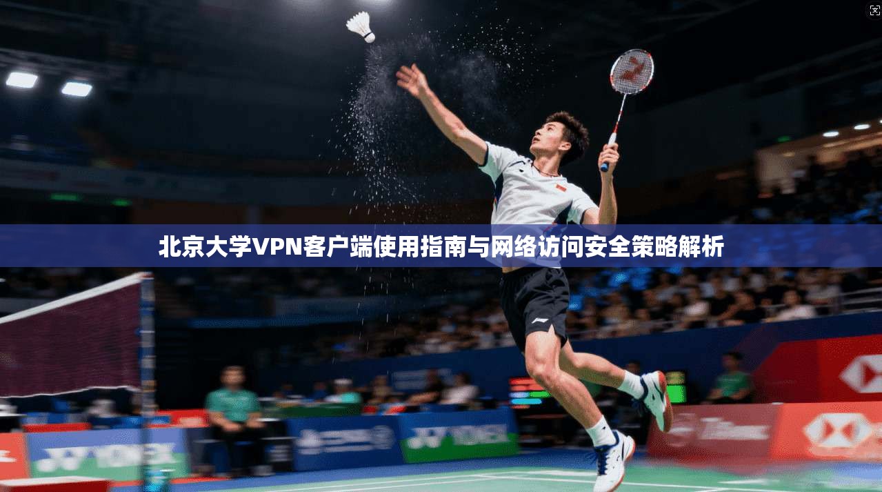 北京大学VPN客户端使用指南与网络访问安全策略解析