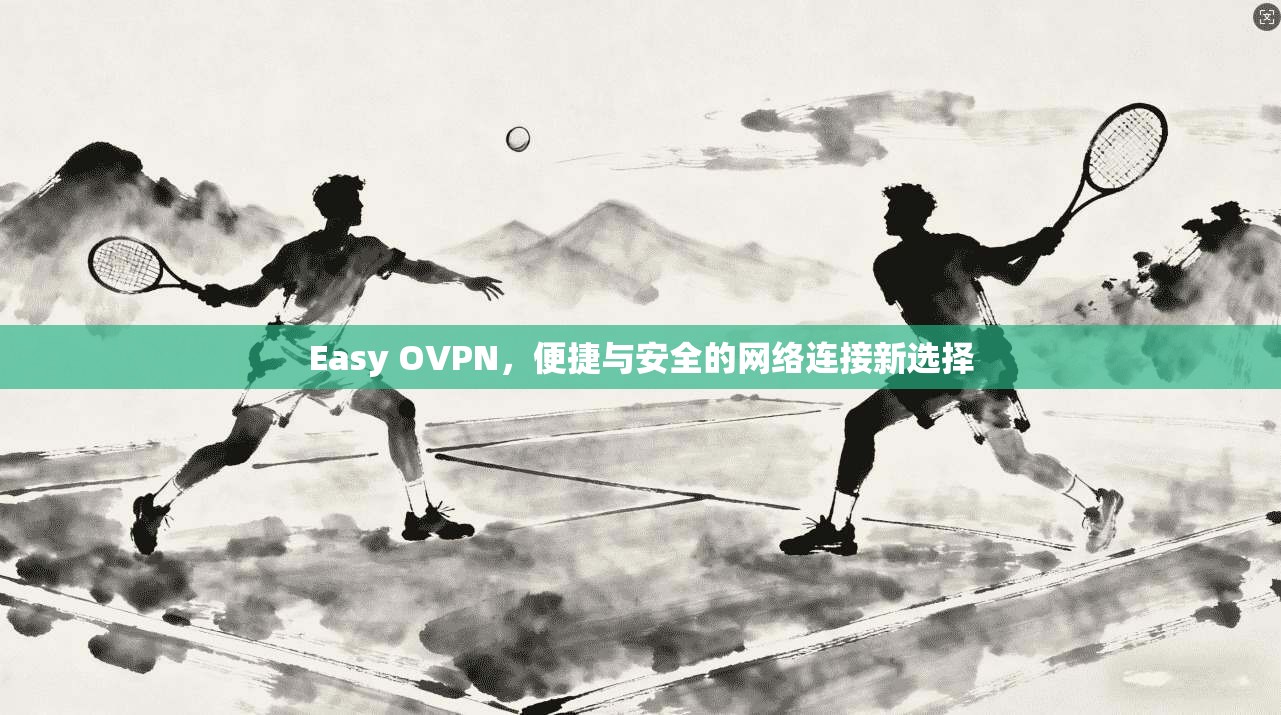 Easy OVPN，便捷与安全的网络连接新选择