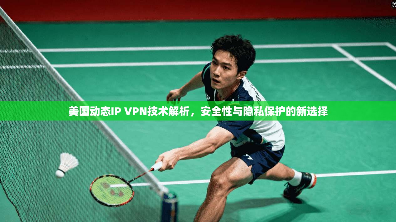 美国动态IP VPN技术解析，安全性与隐私保护的新选择